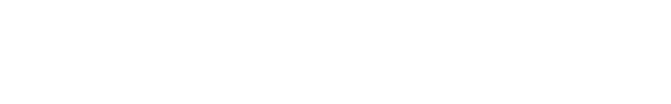 Dash Logo